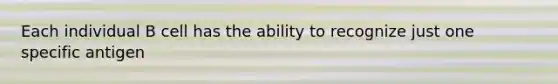 Each individual B cell has the ability to recognize just one specific antigen