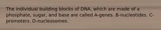 The individual building blocks of DNA, which are made of a phosphate, sugar, and base are called A-genes. B-nucleotides. C-promoters. D-nucleosomes.