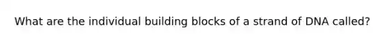 What are the individual building blocks of a strand of DNA called?