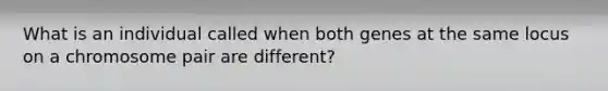 What is an individual called when both genes at the same locus on a chromosome pair are different?