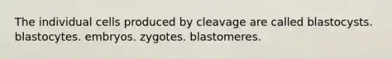 The individual cells produced by cleavage are called blastocysts. blastocytes. embryos. zygotes. blastomeres.