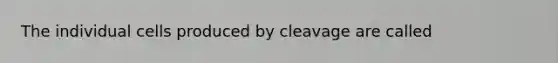 The individual cells produced by cleavage are called