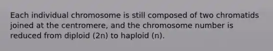 Each individual chromosome is still composed of two chromatids joined at the centromere, and the chromosome number is reduced from diploid (2n) to haploid (n).