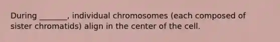 During _______, individual chromosomes (each composed of sister chromatids) align in the center of the cell.