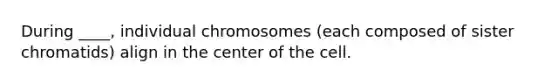 During ____, individual chromosomes (each composed of sister chromatids) align in the center of the cell.