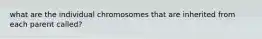 what are the individual chromosomes that are inherited from each parent called?