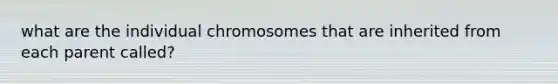 what are the individual chromosomes that are inherited from each parent called?