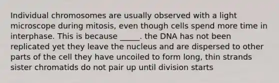 Individual chromosomes are usually observed with a light microscope during mitosis, even though cells spend more time in interphase. This is because _____. the DNA has not been replicated yet they leave the nucleus and are dispersed to other parts of the cell they have uncoiled to form long, thin strands sister chromatids do not pair up until division starts