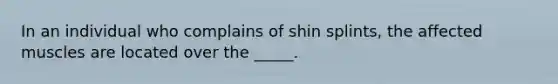 In an individual who complains of shin splints, the affected muscles are located over the _____.