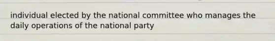 individual elected by the national committee who manages the daily operations of the national party