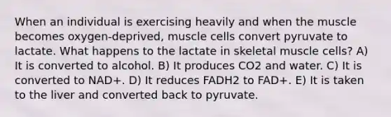 When an individual is exercising heavily and when the muscle becomes oxygen-deprived, muscle cells convert pyruvate to lactate. What happens to the lactate in skeletal muscle cells? A) It is converted to alcohol. B) It produces CO2 and water. C) It is converted to NAD+. D) It reduces FADH2 to FAD+. E) It is taken to the liver and converted back to pyruvate.