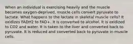 When an individual is exercising heavily and the muscle becomes oxygen-deprived, muscle cells convert pyruvate to lactate. What happens to the lactate in skeletal muscle cells? It oxidizes FADH2 to FAD+. It is converted to alcohol. It is oxidized to CO2 and water. It is taken to the liver and converted back to pyruvate. It is reduced and converted back to pyruvate in muscle cells.