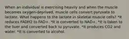 When an individual is exercising heavily and when the muscle becomes oxygen-deprived, muscle cells convert pyruvate to lactate. What happens to the lactate in skeletal muscle cells? *It reduces FADH2 to FAD+. *It is converted to NAD+. *It is taken to the liver and converted back to pyruvate. *It produces CO2 and water. *It is converted to alcohol.