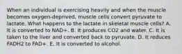 When an individual is exercising heavily and when the muscle becomes oxygen-deprived, muscle cells convert pyruvate to lactate. What happens to the lactate in skeletal muscle cells? A. It is converted to NAD+. B. It produces CO2 and water. C. It is taken to the liver and converted back to pyruvate. D. It reduces FADH2 to FAD+. E. It is converted to alcohol.