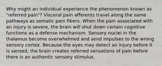 Why might an individual experience the phenomenon known as "referred pain"? Visceral pain afferents travel along the same pathways as somatic pain fibers. When the pain associated with an injury is severe, the brain will shut down certain cognitive functions as a defense mechanism. Sensory nuclei in the thalamus become overwhelmed and send impulses to the wrong sensory cortex. Because the eyes may detect an injury before it is sensed, the brain creates referred sensations of pain before there is an authentic sensory stimulus.