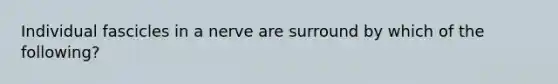 Individual fascicles in a nerve are surround by which of the following?