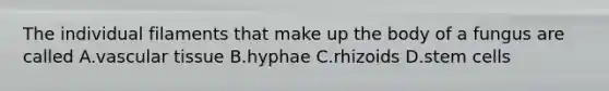The individual filaments that make up the body of a fungus are called A.vascular tissue B.hyphae C.rhizoids D.stem cells