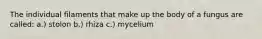 The individual filaments that make up the body of a fungus are called: a.) stolon b.) rhiza c.) mycelium