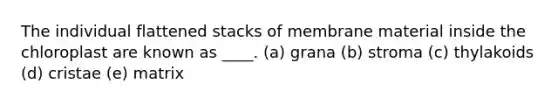 The individual flattened stacks of membrane material inside the chloroplast are known as ____. (a) grana (b) stroma (c) thylakoids (d) cristae (e) matrix