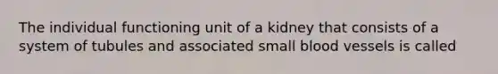 The individual functioning unit of a kidney that consists of a system of tubules and associated small blood vessels is called