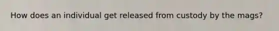 How does an individual get released from custody by the mags?