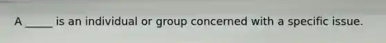 A _____ is an individual or group concerned with a specific issue.