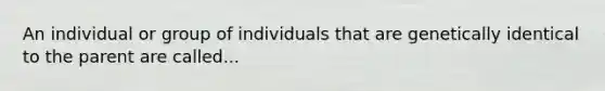 An individual or group of individuals that are genetically identical to the parent are called...