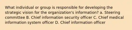 What individual or group is responsible for developing the strategic vision for the organization's information? a. Steering committee B. Chief information security officer C. Chief medical information system officer D. Chief information officer