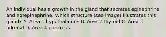 An individual has a growth in the gland that secretes epinephrine and norepinephrine. Which structure (see image) illustrates this gland? A. Area 1 hypothalamus B. Area 2 thyroid C. Area 3 adrenal D. Area 4 pancreas