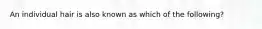 An individual hair is also known as which of the following?