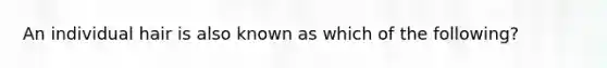 An individual hair is also known as which of the following?