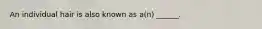 An individual hair is also known as a(n) ______.