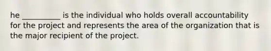 he __________ is the individual who holds overall accountability for the project and represents the area of the organization that is the major recipient of the project.