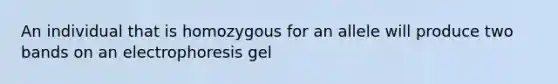 An individual that is homozygous for an allele will produce two bands on an electrophoresis gel