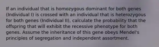 If an individual that is homozygous dominant for both genes (Individual I) is crossed with an individual that is heterozygous for both genes (Individual II), calculate the probability that the offspring that will exhibit the recessive phenotype for both genes. Assume the inheritance of this gene obeys Mendel's principles of segregation and independent assortment.