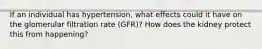 If an individual has hypertension, what effects could it have on the glomerular filtration rate (GFR)? How does the kidney protect this from happening?