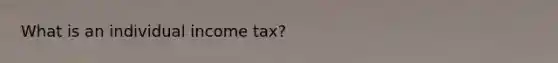 What is an individual income tax?