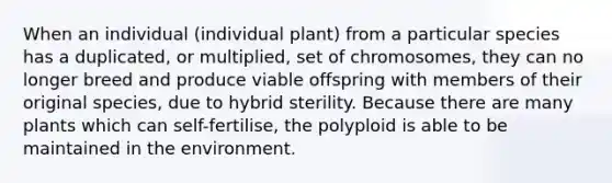 When an individual (individual plant) from a particular species has a duplicated, or multiplied, set of chromosomes, they can no longer breed and produce viable offspring with members of their original species, due to hybrid sterility. Because there are many plants which can self-fertilise, the polyploid is able to be maintained in the environment.