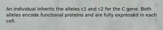 An individual inherits the alleles c1 and c2 for the C gene. Both alleles encode functional proteins and are fully expressed in each cell.