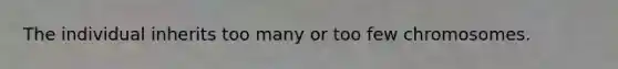 The individual inherits too many or too few chromosomes.