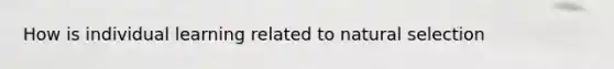 How is individual learning related to natural selection