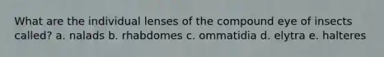 What are the individual lenses of the compound eye of insects called? a. nalads b. rhabdomes c. ommatidia d. elytra e. halteres