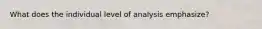 What does the individual level of analysis emphasize?