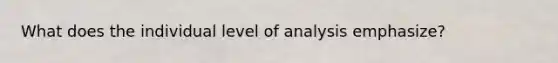 What does the individual level of analysis emphasize?