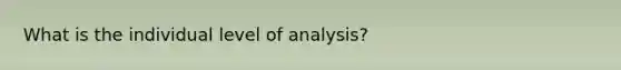 What is the individual level of analysis?