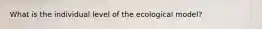 What is the individual level of the ecological model?