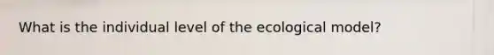 What is the individual level of the ecological model?