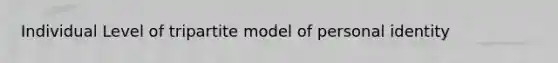 Individual Level of tripartite model of personal identity