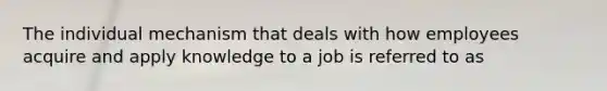 The individual mechanism that deals with how employees acquire and apply knowledge to a job is referred to as