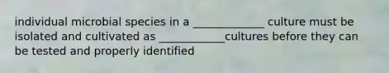 individual microbial species in a _____________ culture must be isolated and cultivated as ____________cultures before they can be tested and properly identified